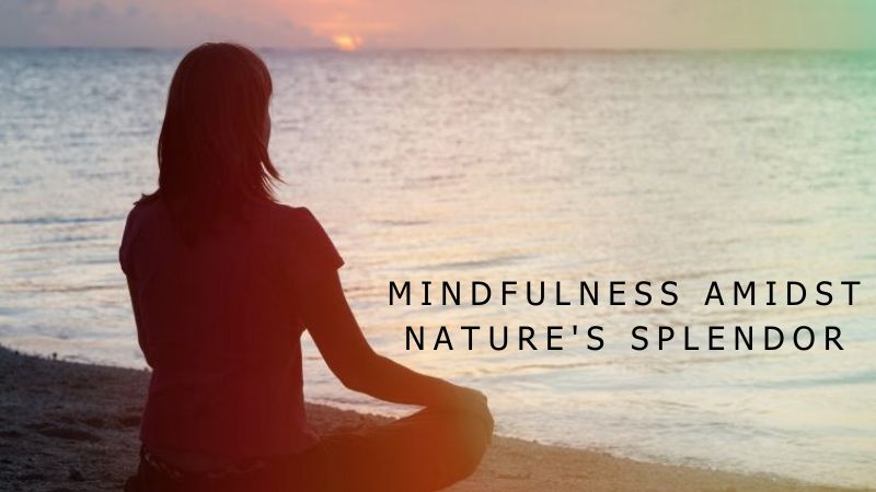 Cultivate Mindfulness Amidst Nature's Splendor