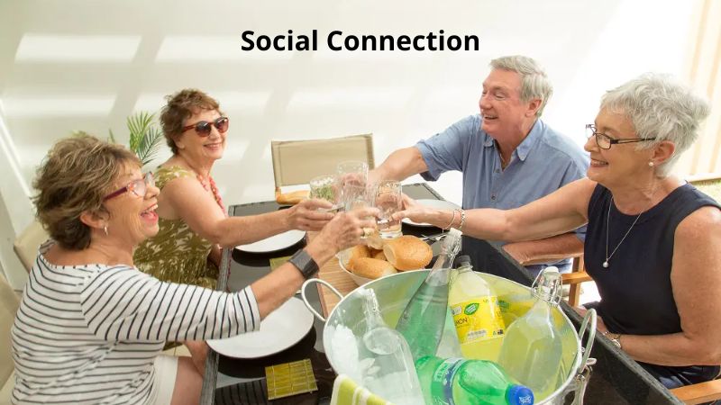 Social Connection for Grandma Health